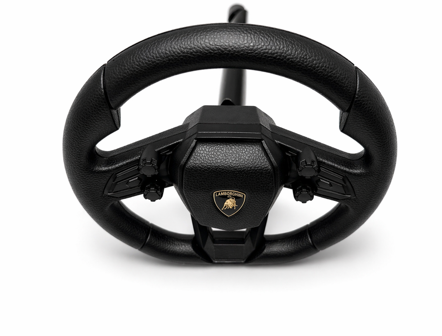 24V Revuelto Steering Wheel with Shaft