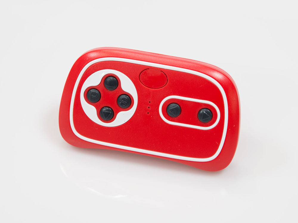 Beachcomber Remote