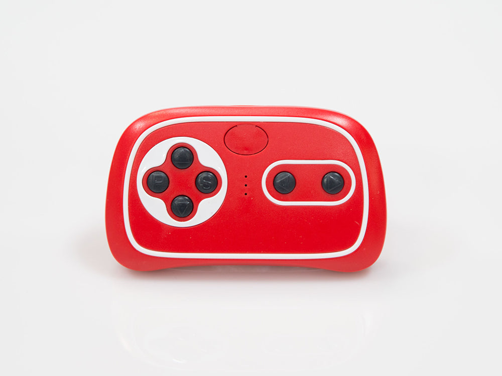 Beachcomber Remote
